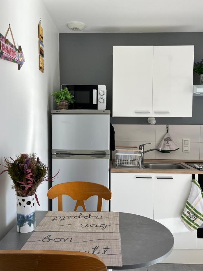 Appt Calme Ensoleille Fonctionnel Apartment Saintes-Maries-de-la-Mer Bagian luar foto